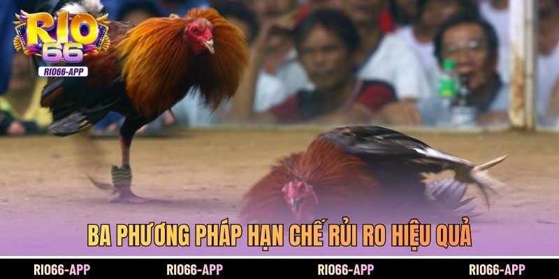 Ba phương pháp hạn chế rủi ro hiệu quả