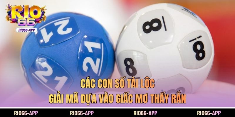 Các con số tài lộc giải mã dựa vào giấc mơ thấy rắn