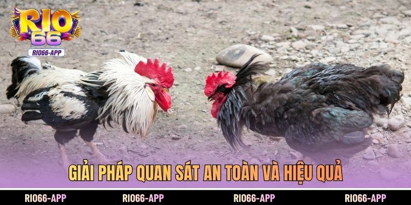 Giải pháp quan sát an toàn và hiệu quả