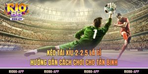Kèo Tài Xỉu 2-2.5 Là Gì | Hướng Dẫn Cách Chơi Cho Tân Binh
