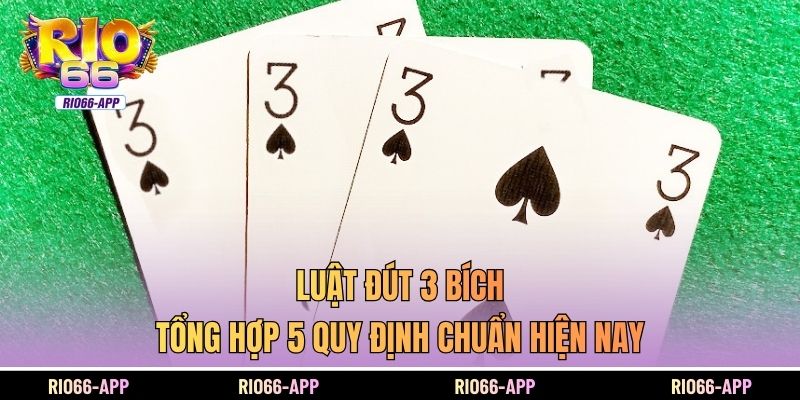 Luật Đút 3 Bích - Tổng Hợp 5 Quy Định Chuẩn Hiện Nay