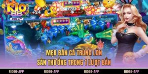 Mẹo Bắn Cá Trúng Lớn, Săn Thưởng Trong 1 Lượt Bắn