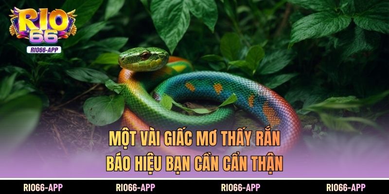 Một vài giấc mơ thấy rắn báo hiệu bạn cần cẩn thận