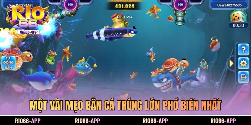 Một vài mẹo bắn cá trúng lớn phổ biến nhất