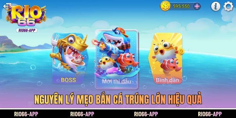 Nguyên lý mẹo bắn cá trúng lớn hiệu quả