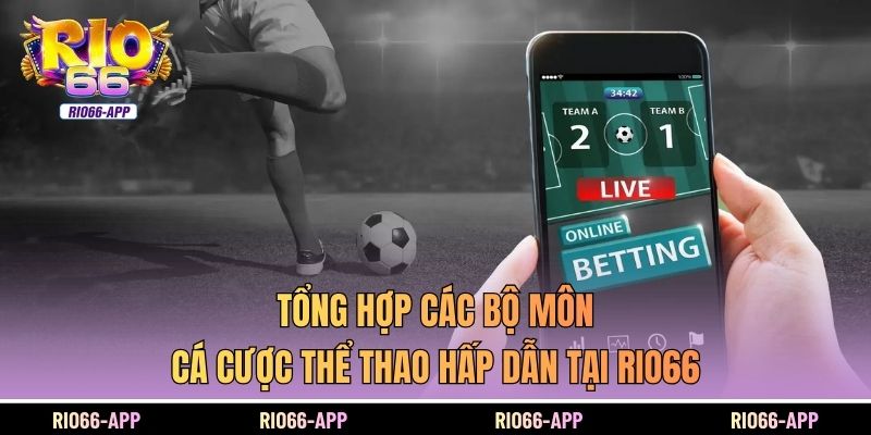 Tổng hợp các bộ môn cá cược thể thao hấp dẫn tại Rio66