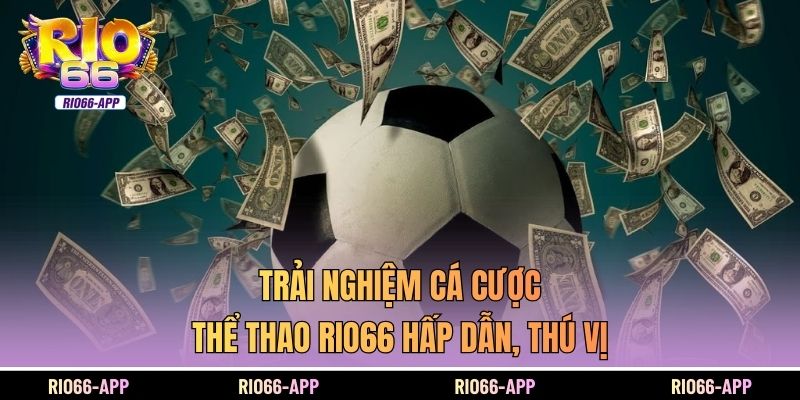 Trải nghiệm cá cược thể thao Rio66 hấp dẫn, thú vị